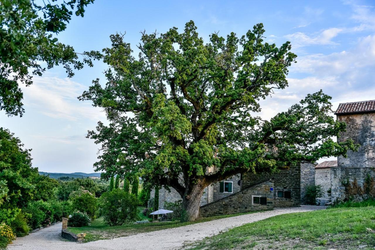L'Abbraccio Della Quercia Apartment Momjan ภายนอก รูปภาพ